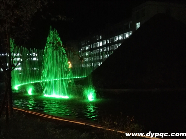 芒部中学孔雀开屏夜间实景图