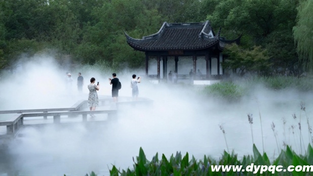 游客在雾森营造的梦幻场景中漫步